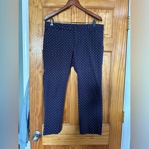 Banana Republic Sloan purple pant. Size 12p